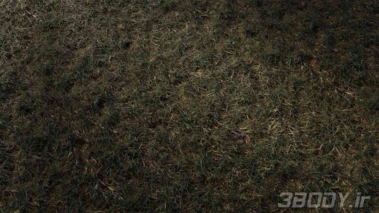 متریال چمن surface grass عکس 1